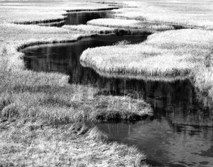 Curved stream and grasses