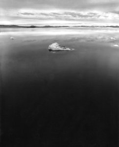 Floating Rock on Mono Lake